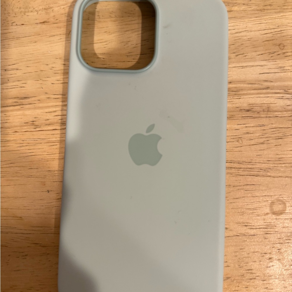 Apple mint green  Silicone iPhone Case 16 Pro Max